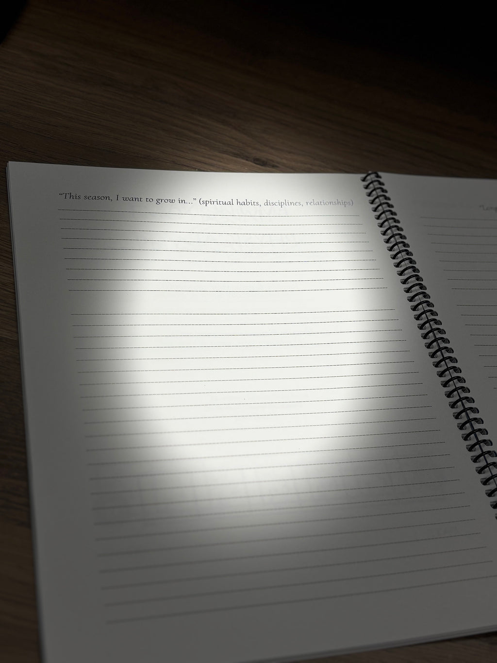Rooted Series Interactive Faith & Purpose Companion Journal