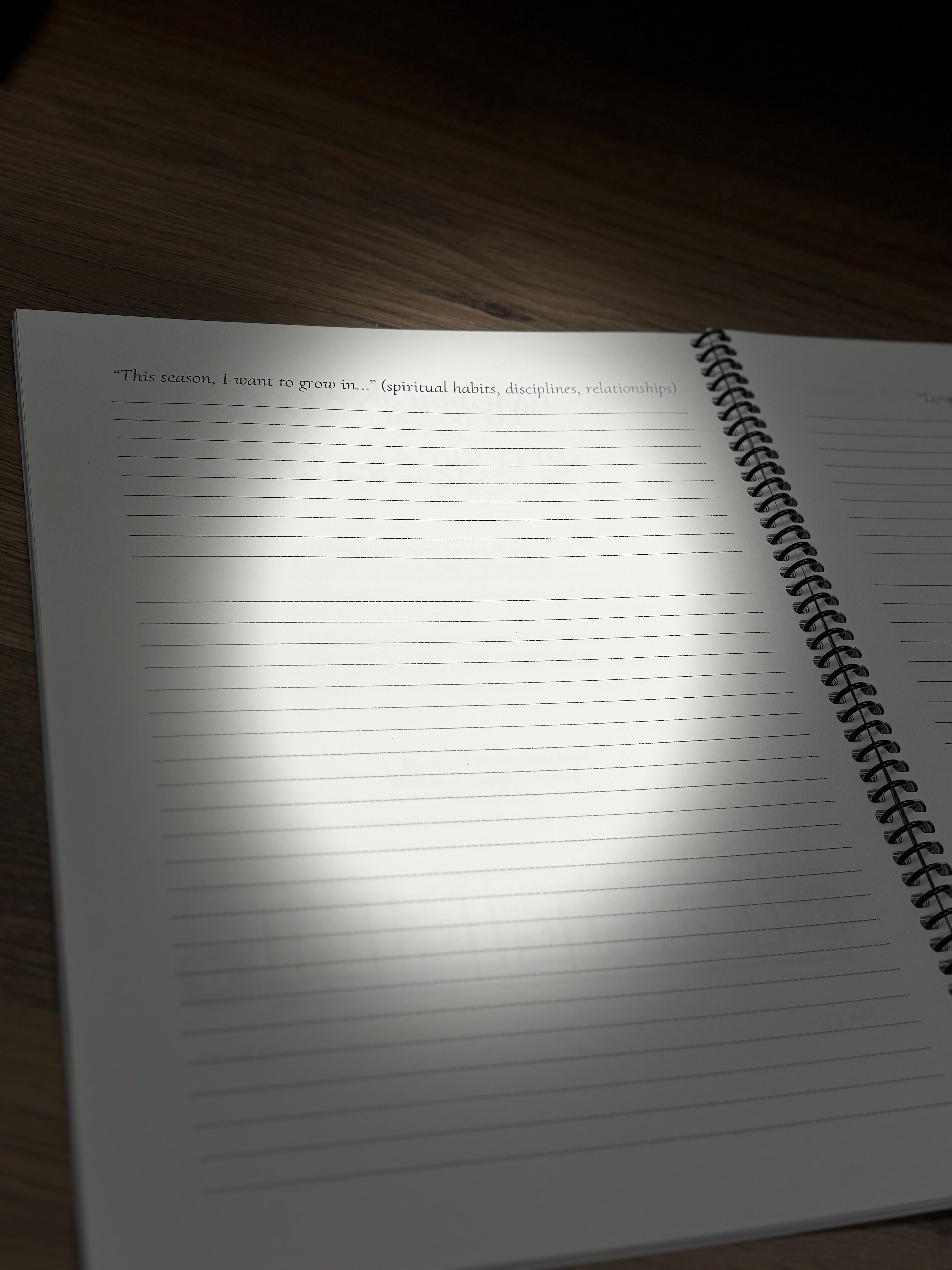 Rooted Series Interactive Faith & Purpose Companion Journal