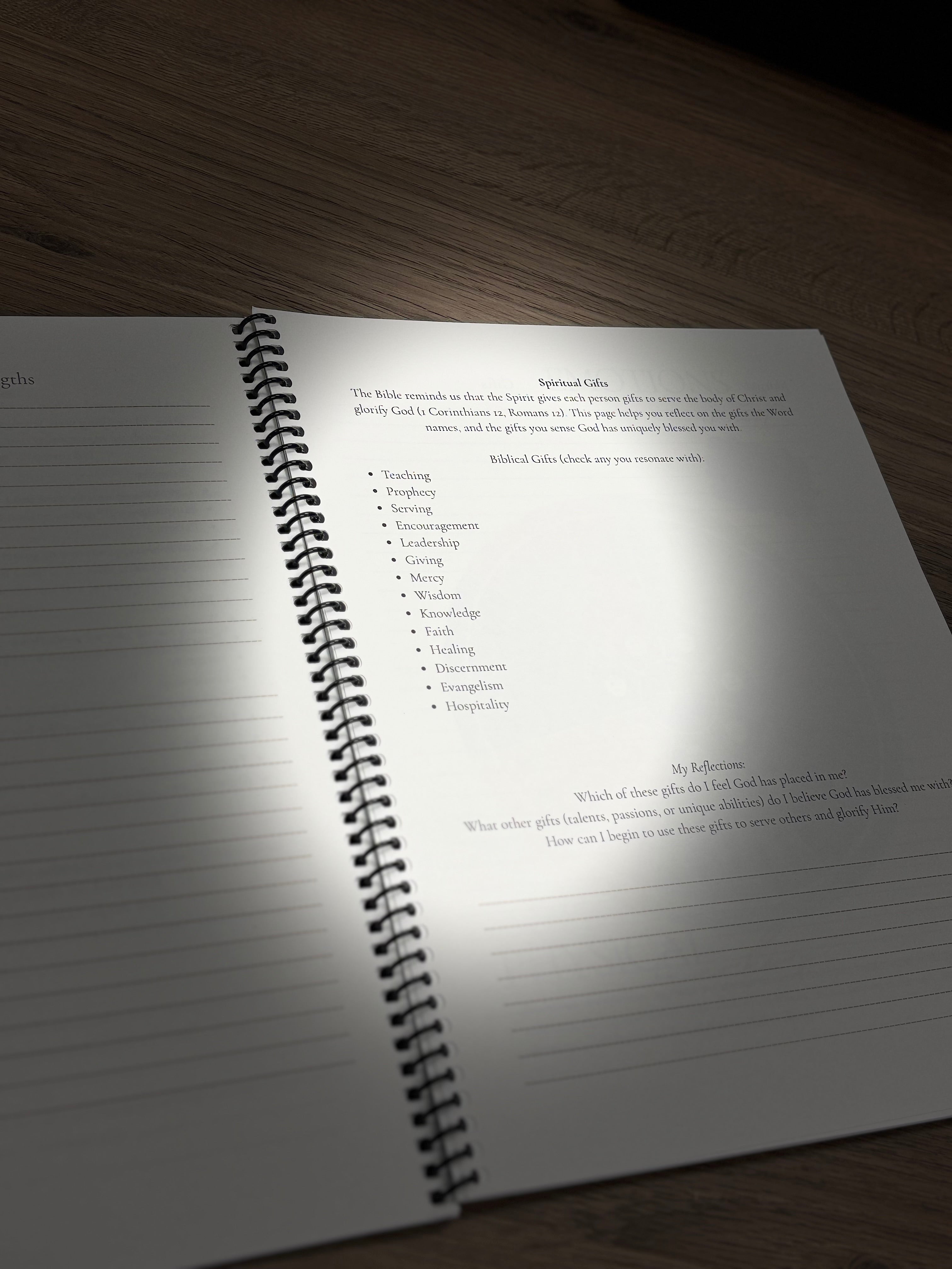 Rooted Series Interactive Faith & Purpose Companion Journal